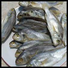 

IKAN KEPALA BATU SUPER 500GR