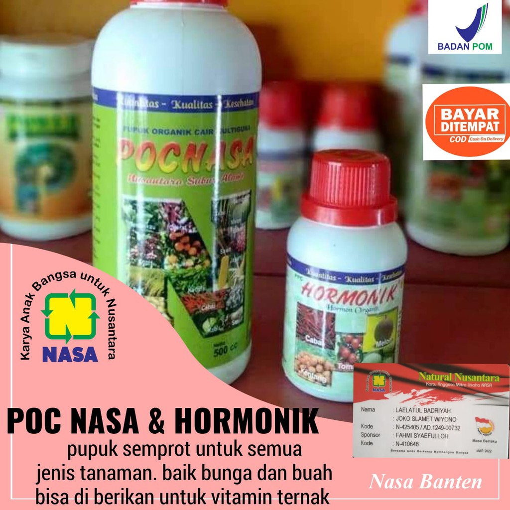 Poc nasa dan hormonik