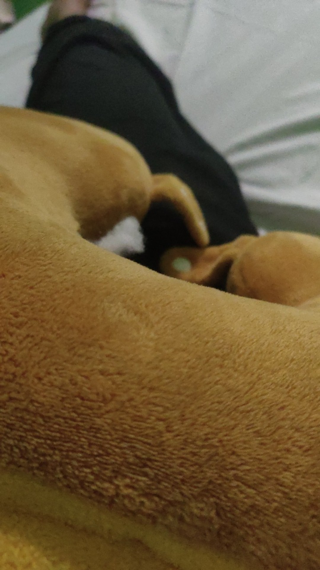 M L Xl Xxl 3l 4l 5l Bswart Batik Hrb026 Kenongo Hem Pendek Padi Pekalongan Batik Pria Murah Terlaris