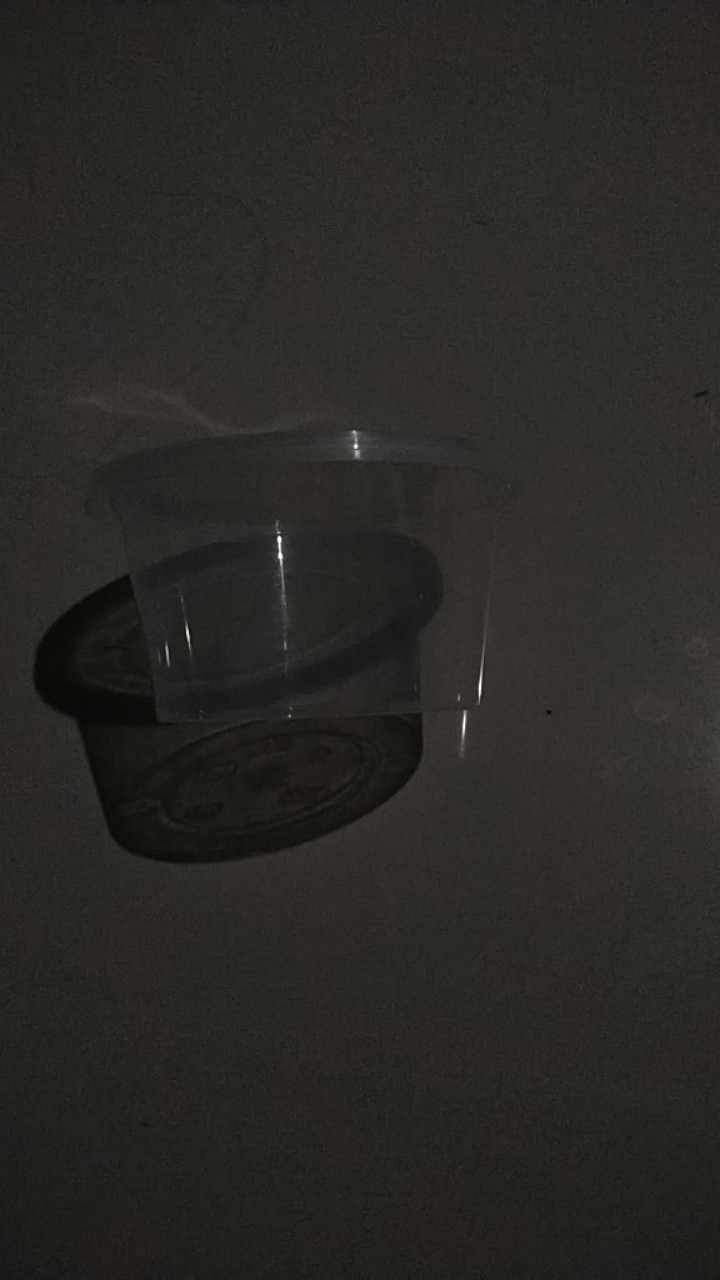 Thinwall 300 Ml Bulat