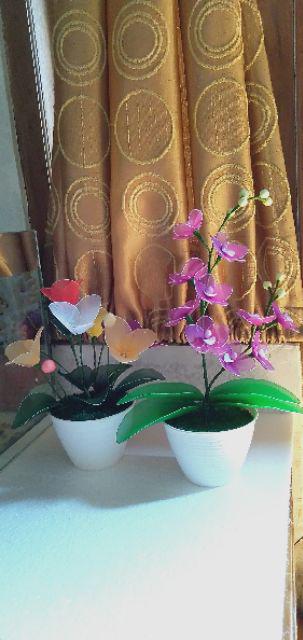 #lumut Kering/ Mos Rp 5.000/ 10 Gram