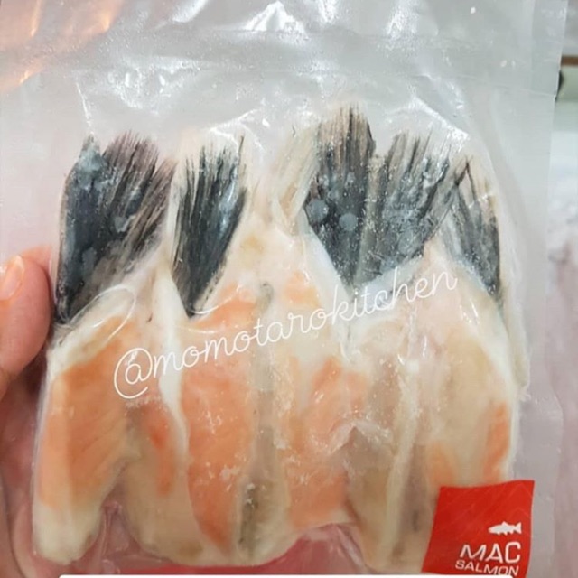 

Sirip salmon reguler