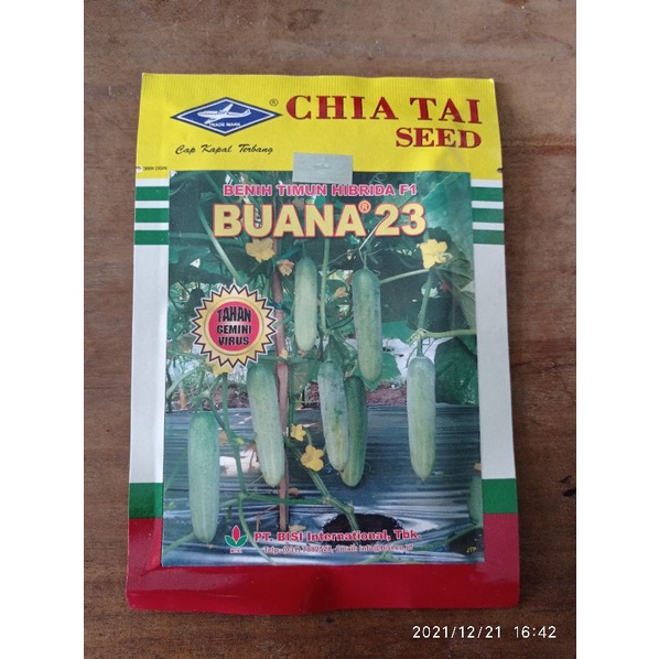 Benih Timun Buana 23