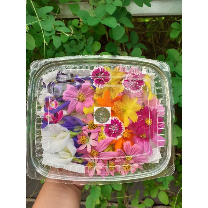 

PALING MURAHHH EDIBLE FLOWERS MIX...