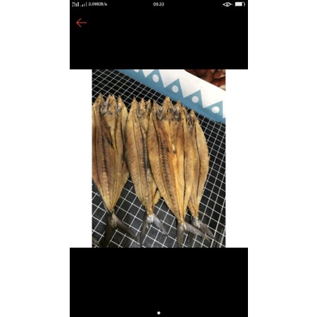 

ikan tenggiri berat 1 kg khas tanah bumbu