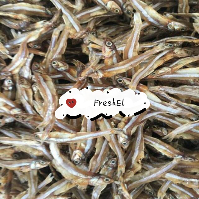 

FreshEl - TERI TAWAR 100gr