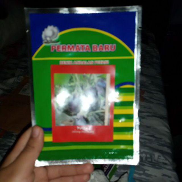 Isi 5 Gram Bibit Terong Bulat Ungu Piala | Benih Terong Bulat Ungu | Bibit Sayuran