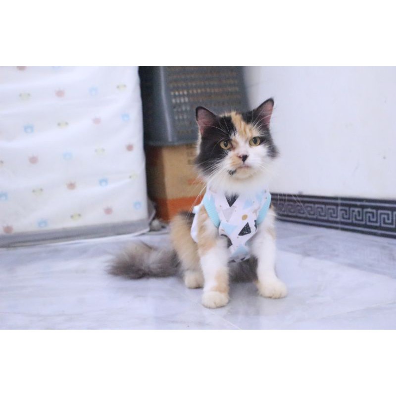 Kaos motif segitiga lucu untuk kucing dan anjing / baju kucing murah size S-XL