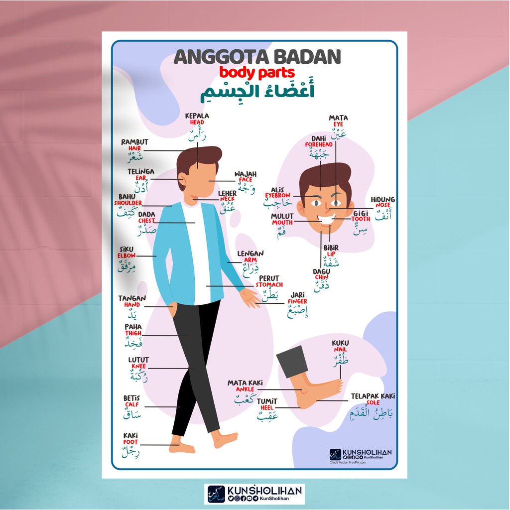 Poster Anak Poster Anggota Badan 3 Bahasa Bhs Indonesia Inggris Arab Poster Kun Sholihan Shopee Indonesia