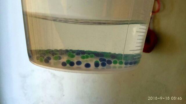 Media Tanam Hydrogel Pengganti Tanah Dan Cantik Untuk Indoor