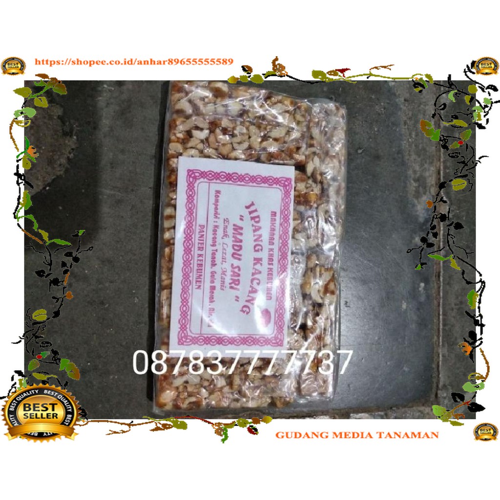 

MEDIA Jipang kacang gula jawa MEDIA