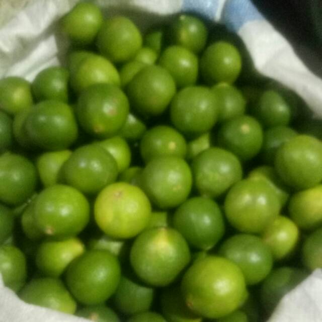 

Buah Jeruk Nipis Super 1000gr