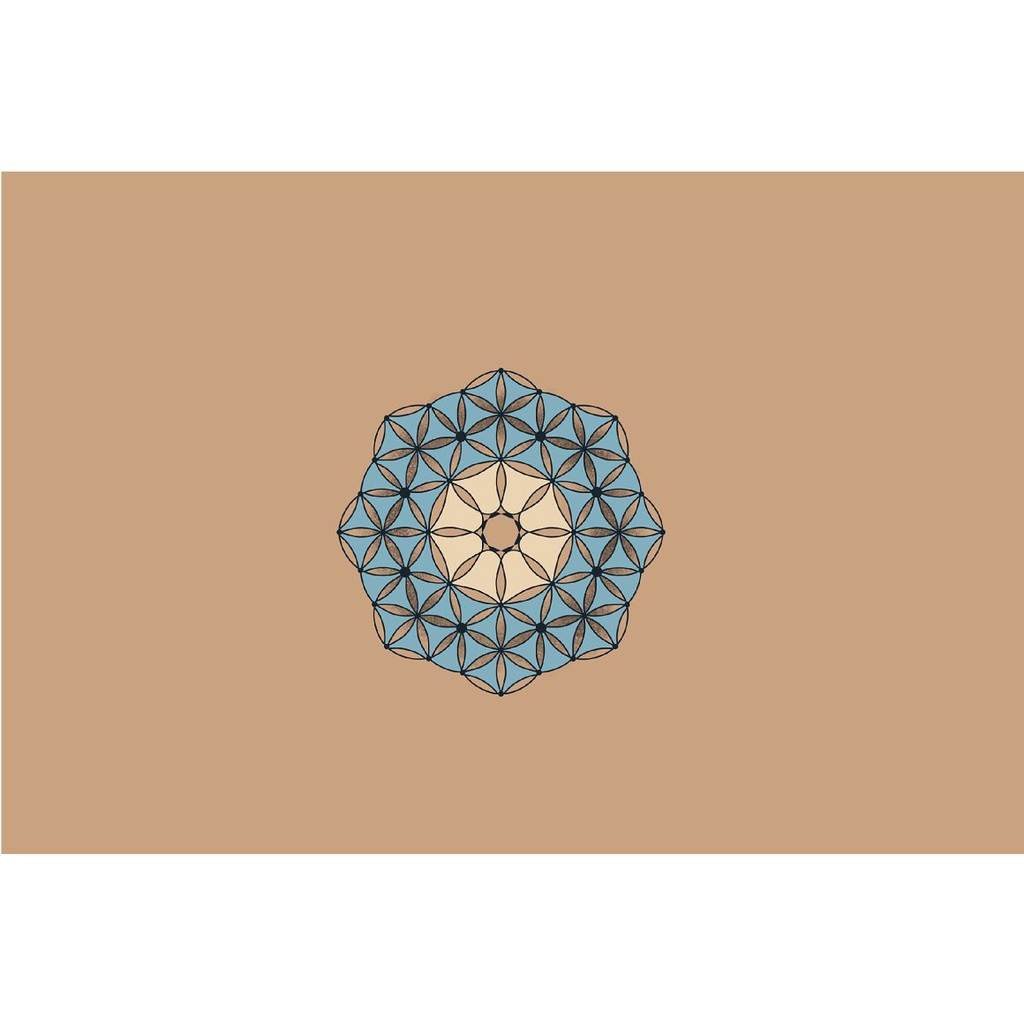 Procreate Brush - Mandala Brushes for Procreate