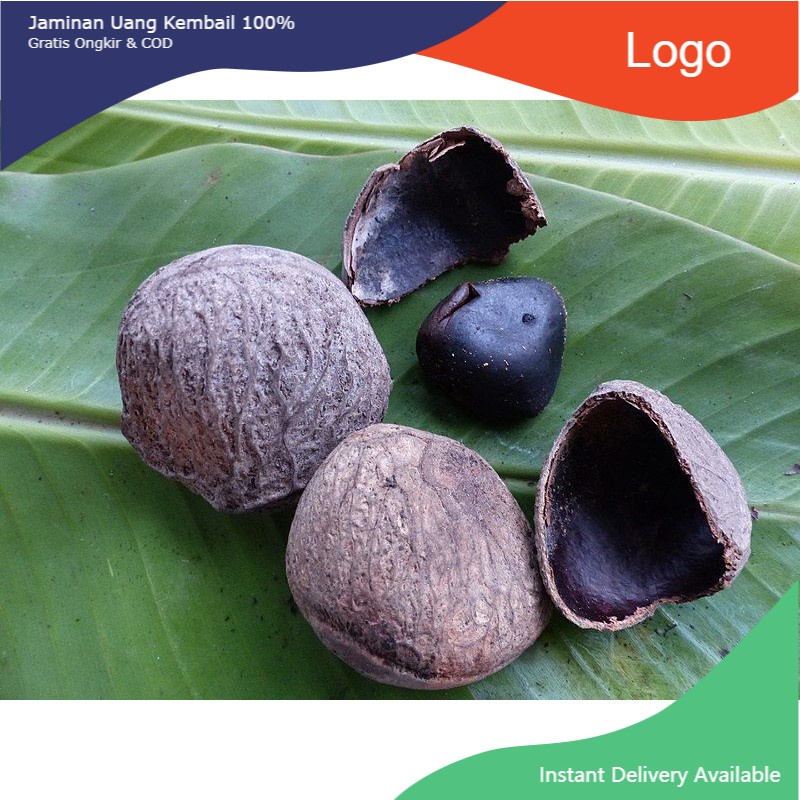 

FCW - Kluwek 250 Gram