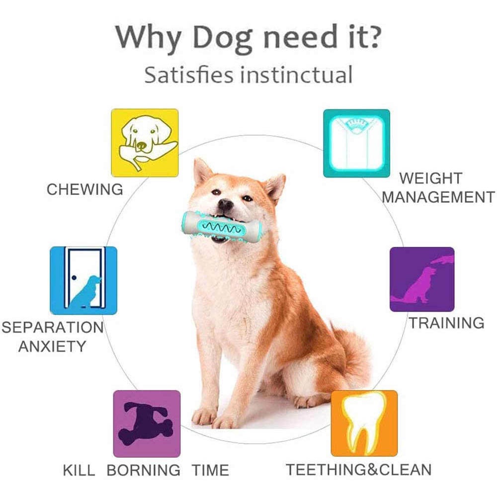 Mainan Anjing / Dog Toothbrush Bone Toy Sikat Gigi Bentuk Model Tulang