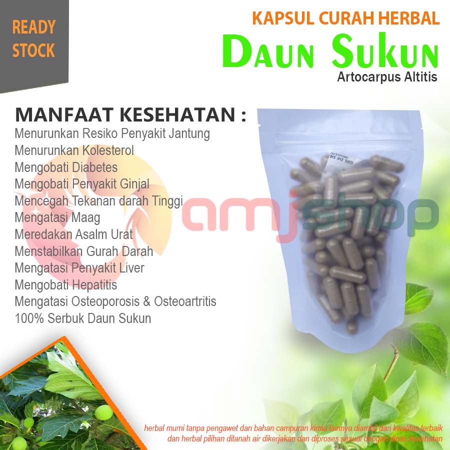 

Daun sukun kapsul curah herbal daun sukun kapsul herbal diabetes batu ginjal kolesterol