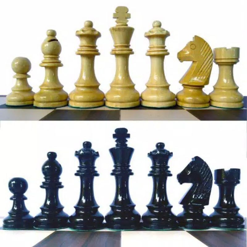 Bidak Buah Catur Kayu Model DGT Menteri 2