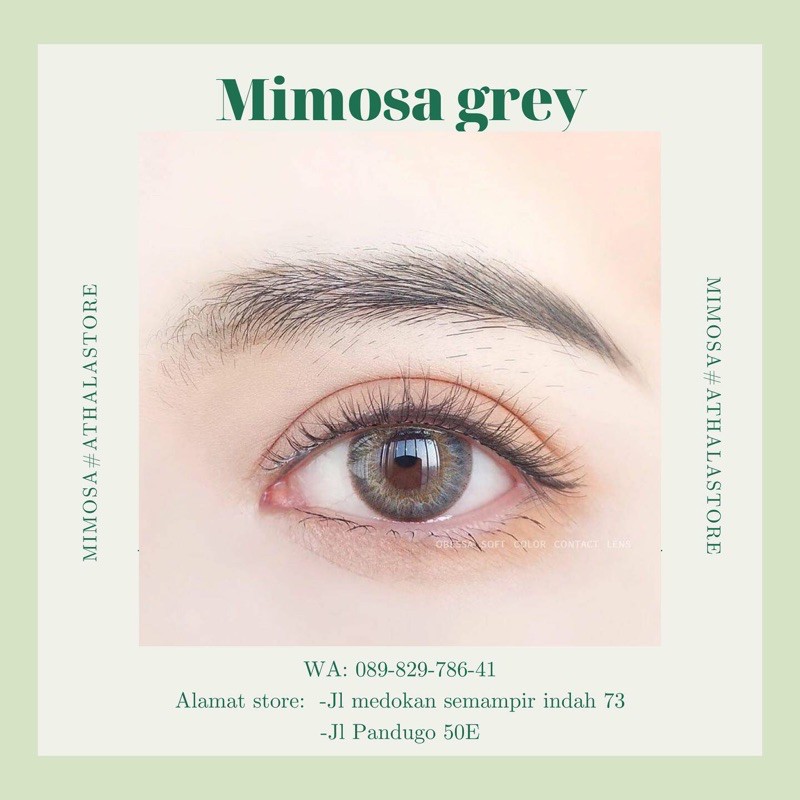 SOFTLENS MIMOSA