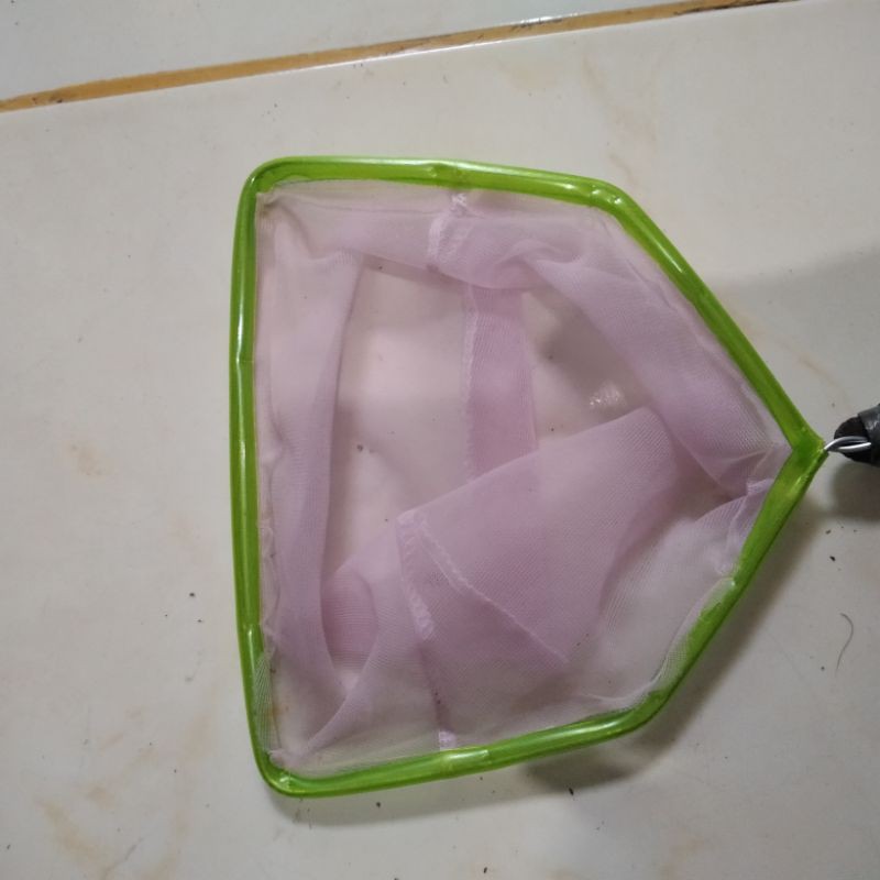 Serokan Kecil,ikan cupang/kutir/Casut/Guppy BONUS DAUN KETAPANG