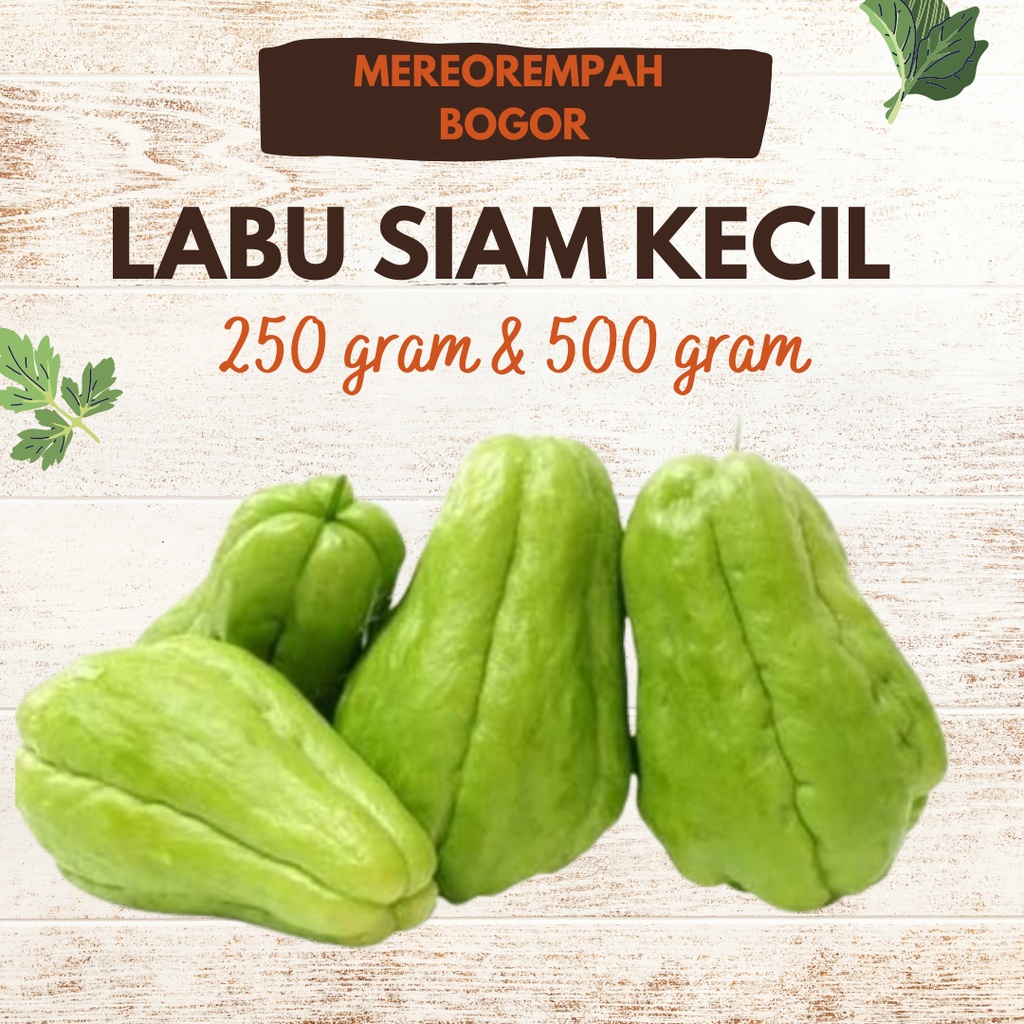 

LABU SIAM KECIL WARUNG SAYUR CIOMAS BOGOR