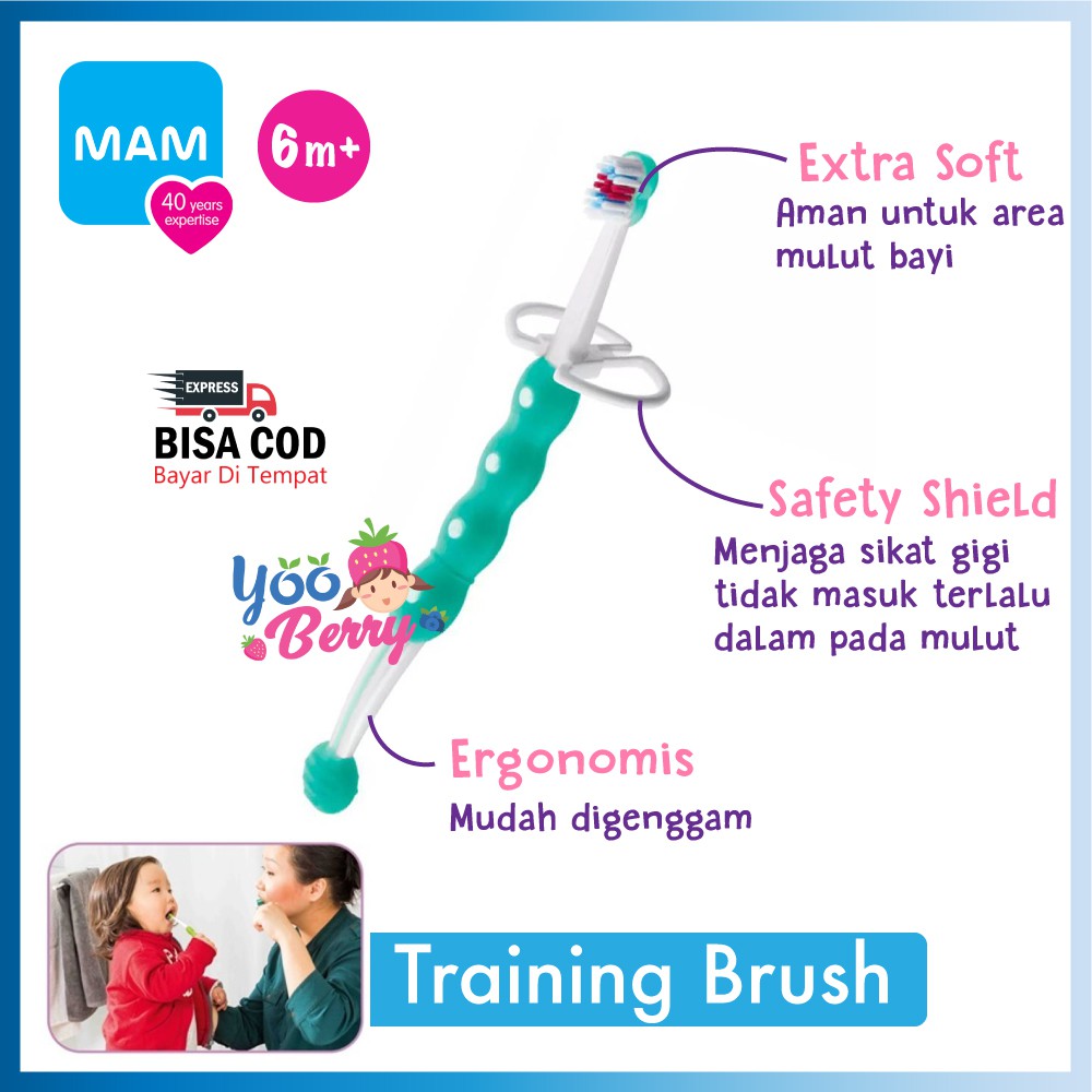 MAM Baby Training Brush Sikat Gigi Bayi 6m+ MAM009 Berry Mart