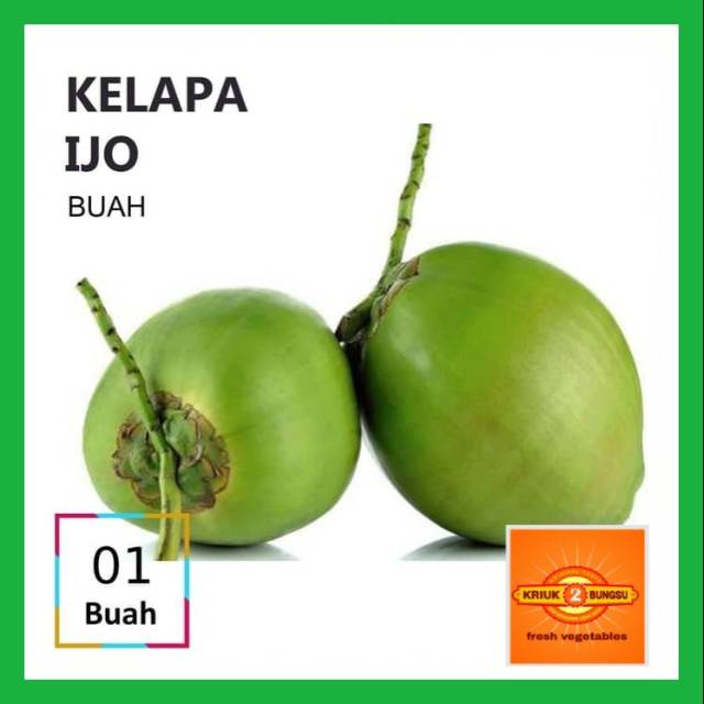 

Buah kelapa hijau / kelapa ijo buah