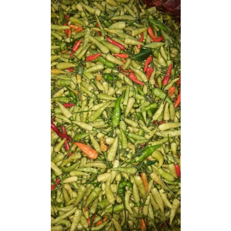 

Cabai Rawit fresh 1kg