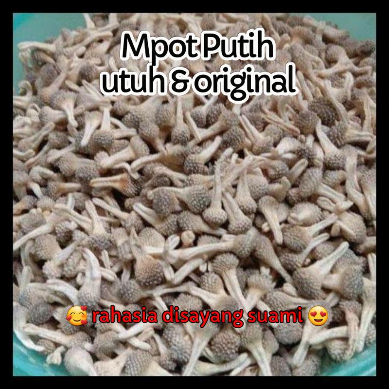 Mpot Ayam Putih Super Asli Utuh Original