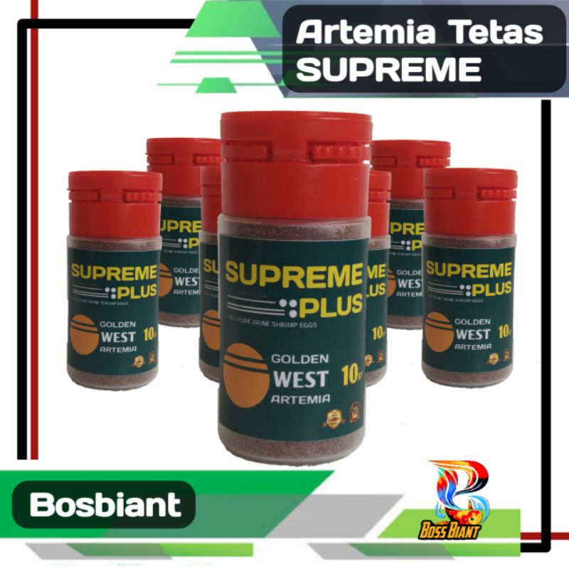 Artemia Tetas / Telur Artemia Pakan Burayak Ikan / Ikan kecil