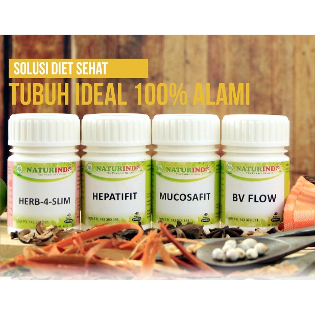 Paket Herbal Diet Alami by Naturindo