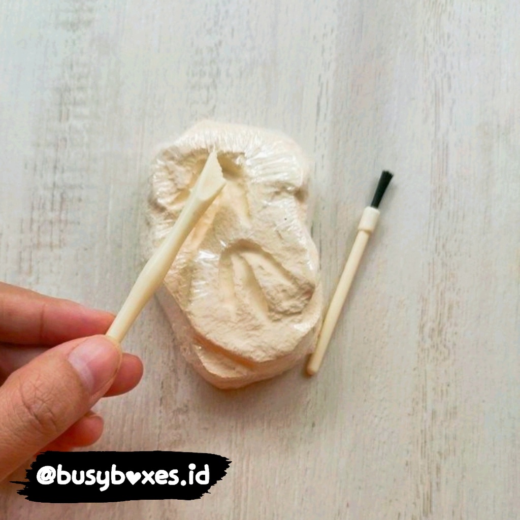 [busyboxes.id] I dig Dino Fosil mainan edukasi