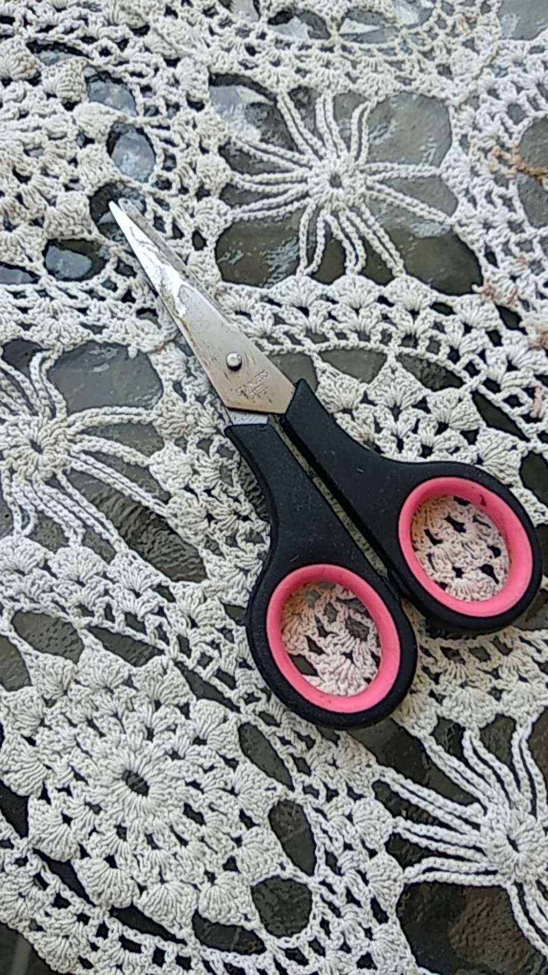 Tempat Sikat Gigi Kumbang Lady Bug Toothbrush Holder Unik