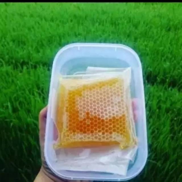 

Madu sarang
