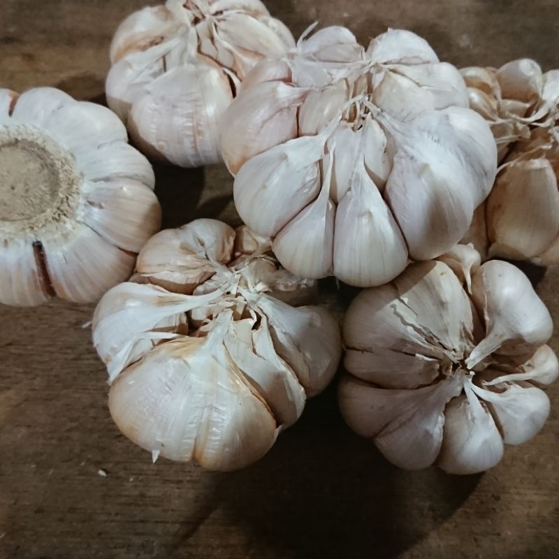 

Bawang Putih