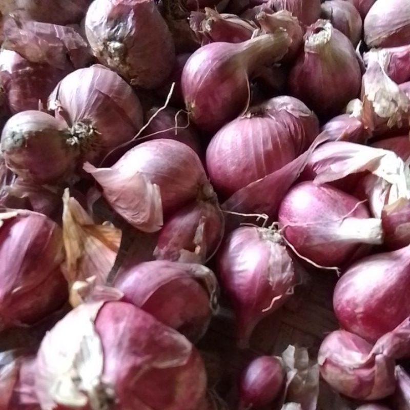 

Bawang merah super 500 gr