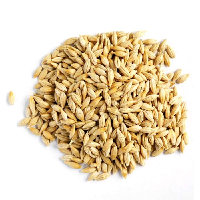 

Barley 250 Gr