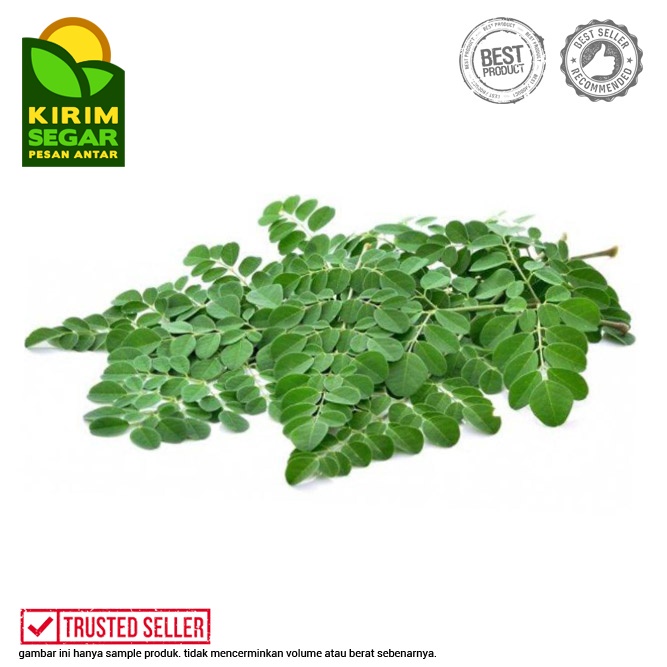 

Daun Kelor Segar / Daun Kelor Asli / Kelor / Pack