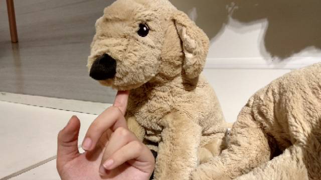 Jual Gosig Golden Boneka Anjing Golden 