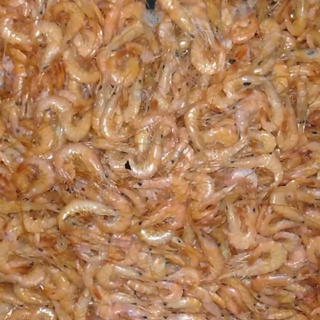 

Udang Asin