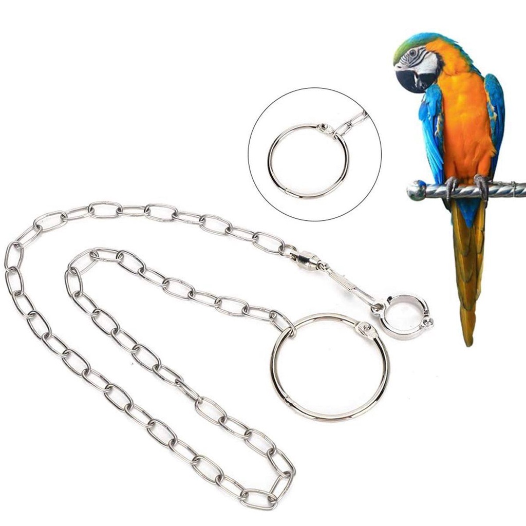 Rebuy Bird Foot Chain Cockatiel Budgerigar Stainless Steel Split Flying Training Harness