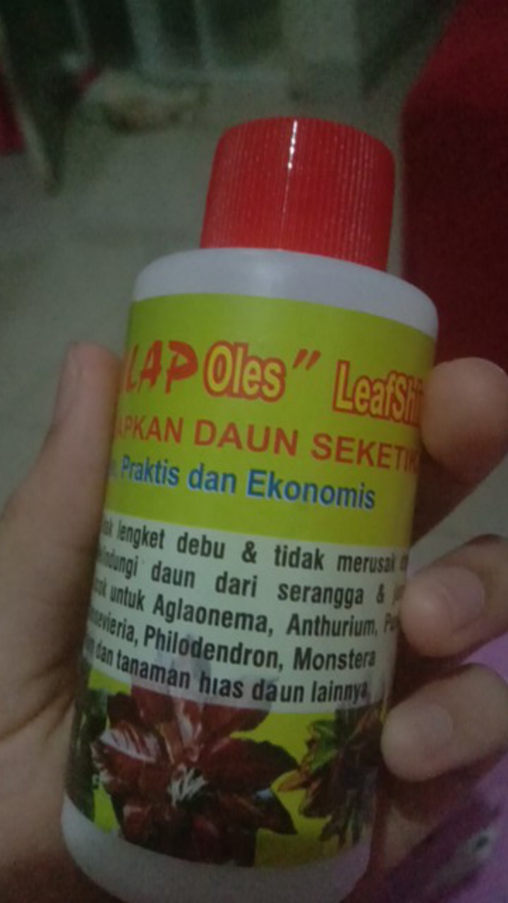 Pengkilap Daun Kilap - Leaf Shine - Kilap Daun