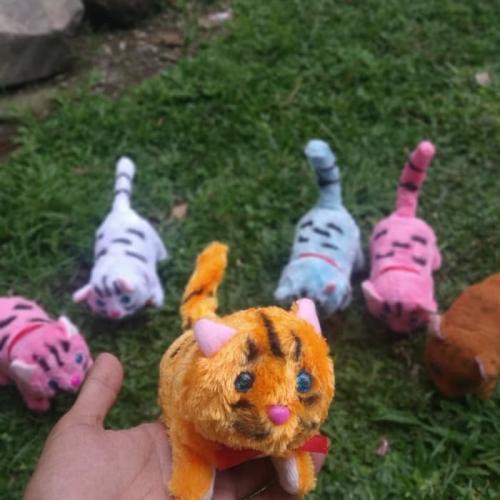 Mainan Anak Boneka Kucing Berjalan Mata Menyala Dan Ada Suara