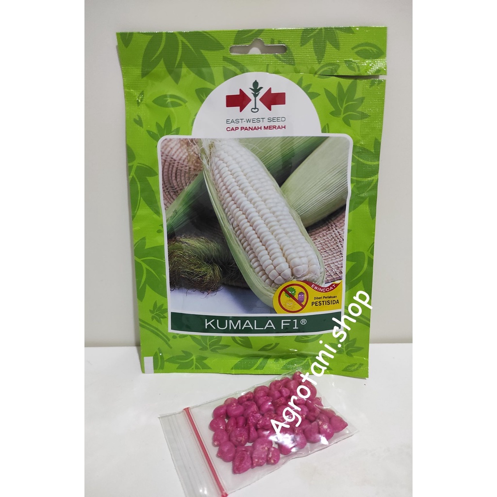 Benih Jagung Ketan Kumala F1 -Kemasan Repack-Cap Panah Merah