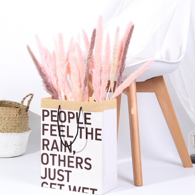 Pampas mini/ small pampas/ pampas import/ pampas kering/ bunga kering/ dried flower