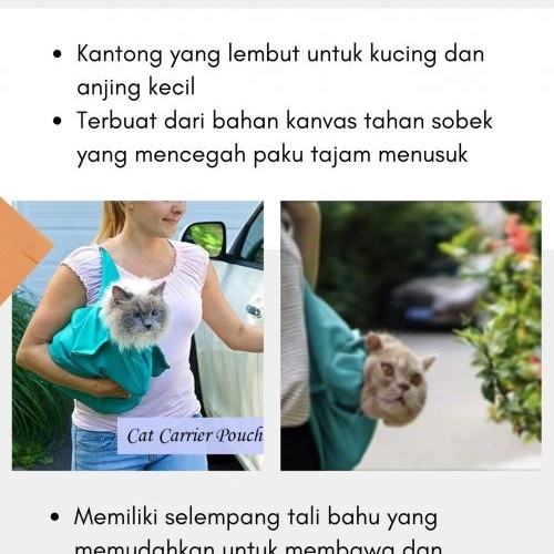 Tas kucing jinjing