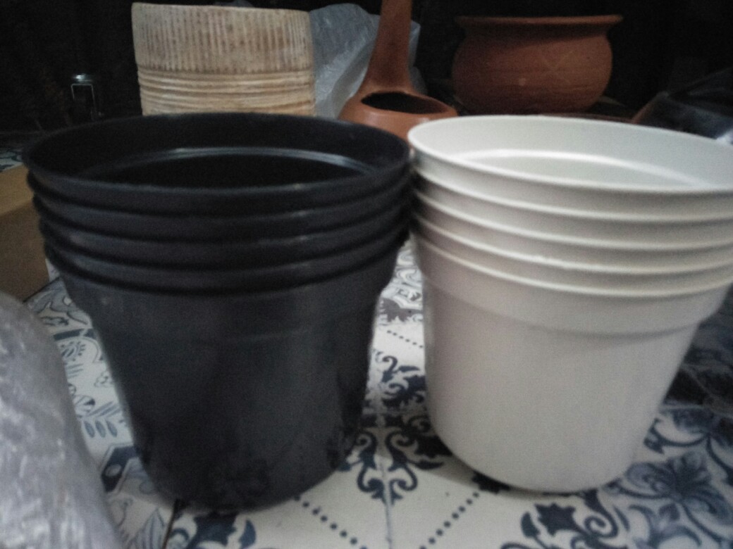 Pot Bunga Tanaman 15 Cm Hitam Merek Made Indonesia Free Bubble Ketentuan Berlaku