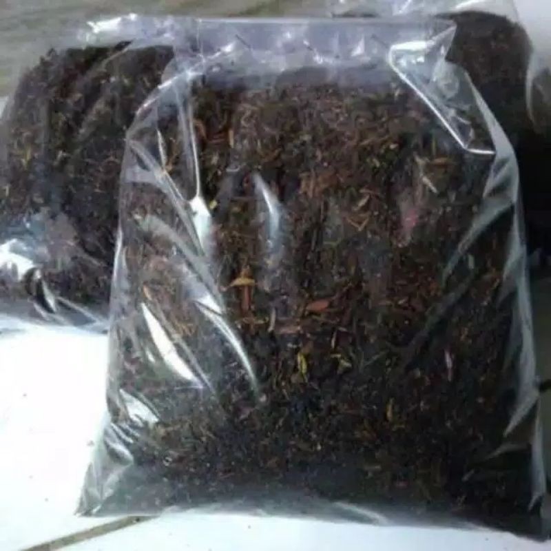 Media Tanam Pupuk Tanah Lembang