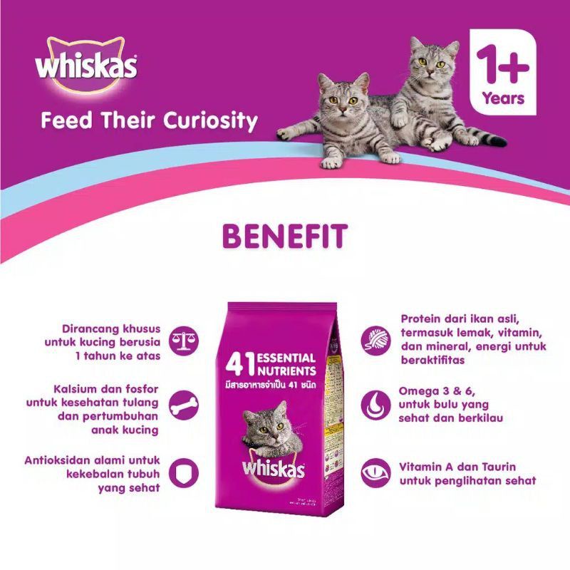 Makanan Kucing Merk Whiskas Repack 500Gram