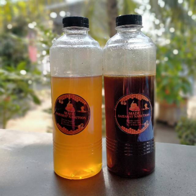 

Madu hutan tualang asli 100%