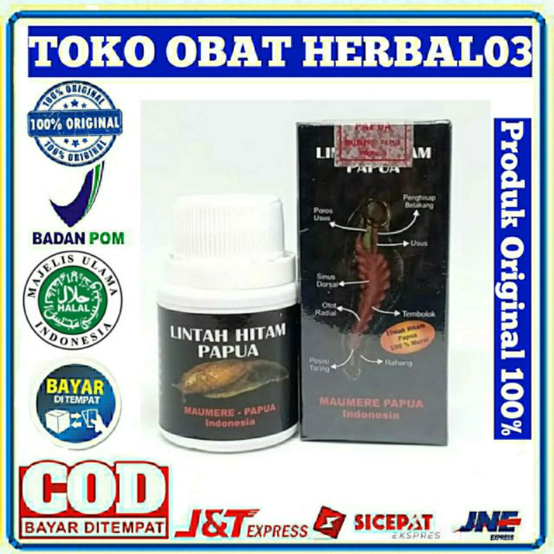 MINYAK LINTAH HITAM PAPUA ASLI ORIGINAL OBAT SUDAH TERBUKTI KHASIATNYA